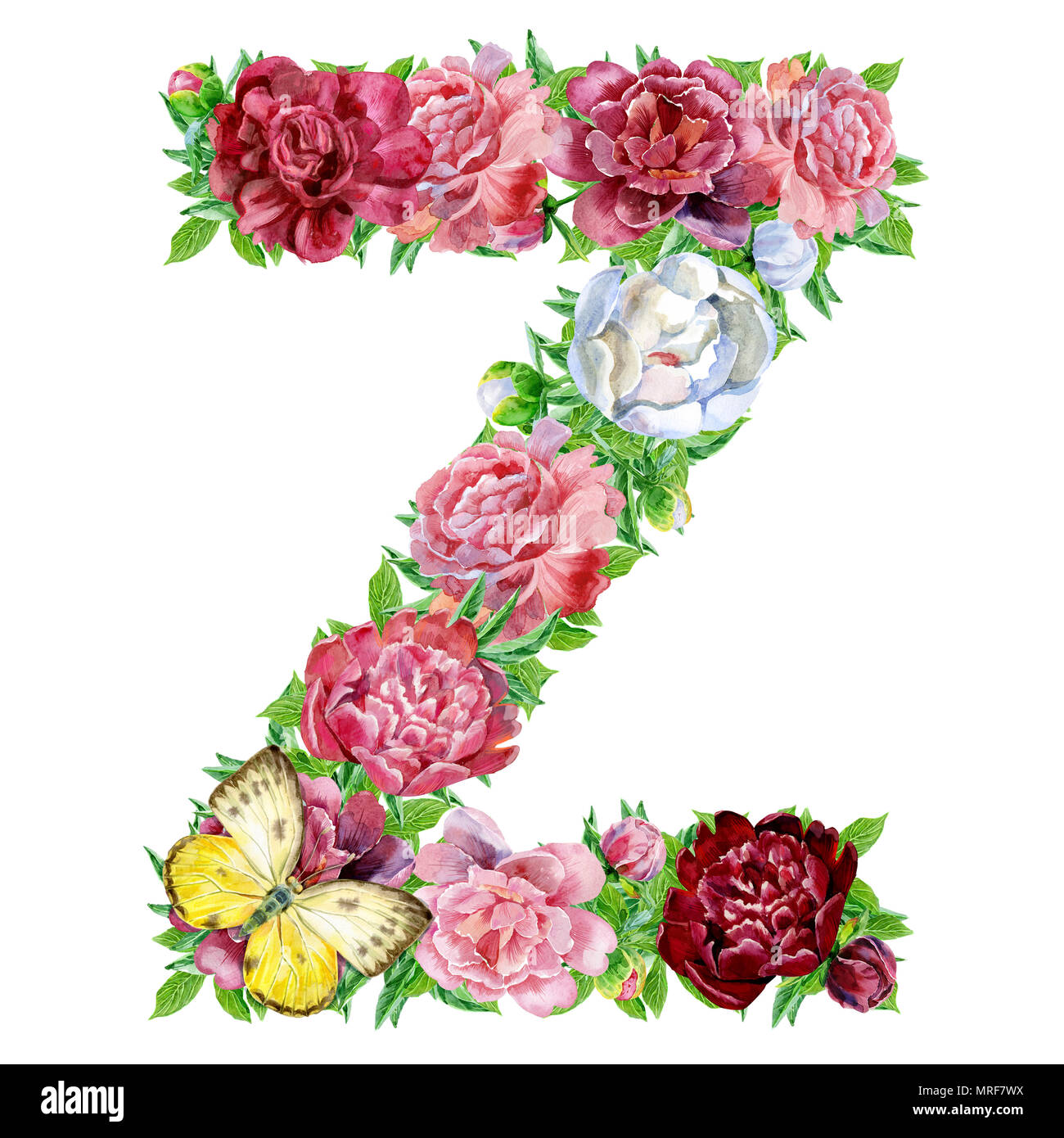 La lettera Z di acquerelli di fiori, isolati disegnati a mano su uno sfondo  bianco, design di nozze, alfabeto inglese Foto stock - Alamy