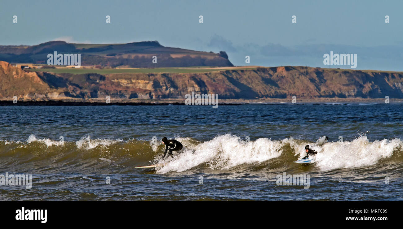 Cattura l'onda, una coppia di surfisti cavalcare un onda in arrivo in Scarborough North Bay Foto Stock