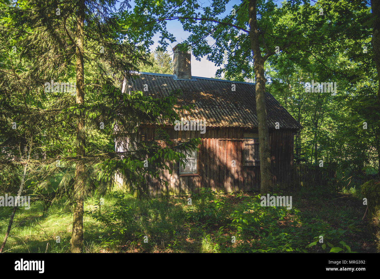 Piccola casa in legno nella foresta. Foto Stock