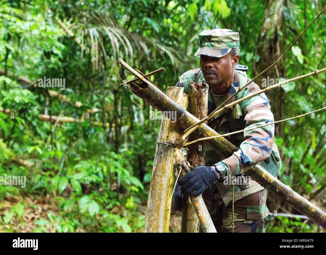 Royal Grenada forza di polizia Cpl. Fabian Lockiby costruisce un veicolo check point fuori dei rami degli alberi durante la fase II di esercizio Tradewinds 2017 in Chaguaramas, Trinidad e Tobago, 14 giugno 2017. Tradewinds, sponsorizzato dalla U.S. Comando Sud, riunisce le forze di sicurezza regionali e agenzie civili da 20 paesi partecipanti per rafforzare le relazioni, partner di costruire la nazione e la capacità di condurre un esperto in materia di scambi in operazioni relative alla protezione. Stati Uniti Marines sono la formazione e il supporto logistico per la fase II di esercizio. (U.S. Marine Corps foto di Sgt. Clemente Foto Stock