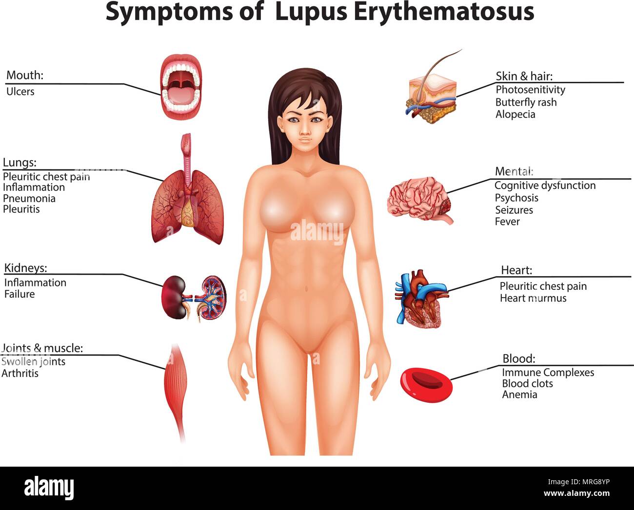 Una Anatomia Umana e organo illustrazione Illustrazione Vettoriale