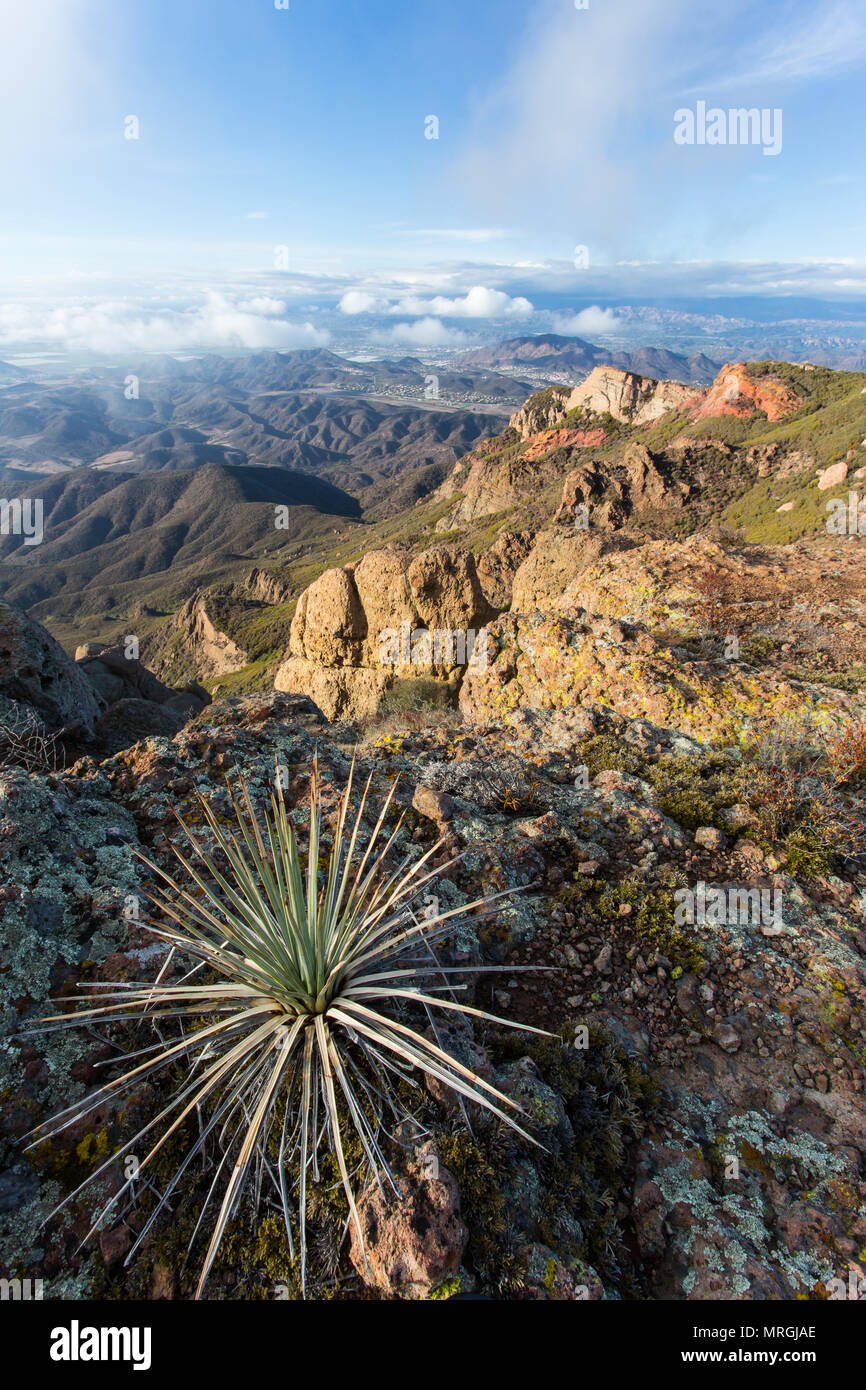 Una vista del paesaggio della valle da Boney Ridge in Santa Monica Mountains National Recreation Area. Foto Stock