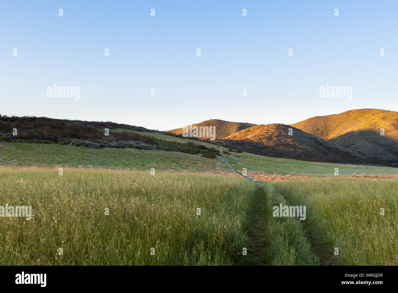 La Jolla Valley in Santa Monica Mountains National Recreation Area contiene alcuni degli ultimi California naturale dei prati, visto qui in Foto Stock