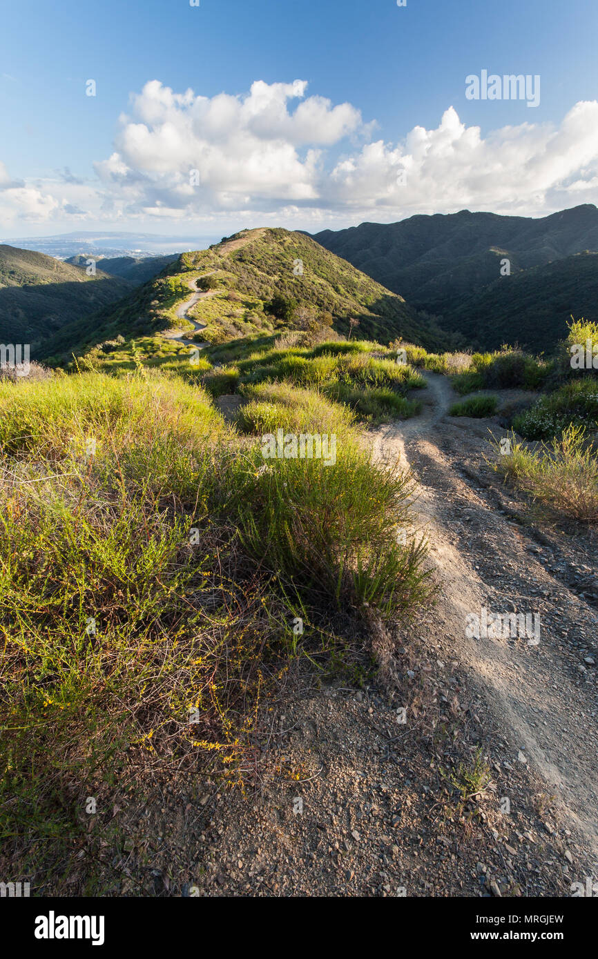 Una vista di singletrack trail accanto a Sullivan Fire strada in Santa Monica Mountains National Recreation Area. Foto Stock