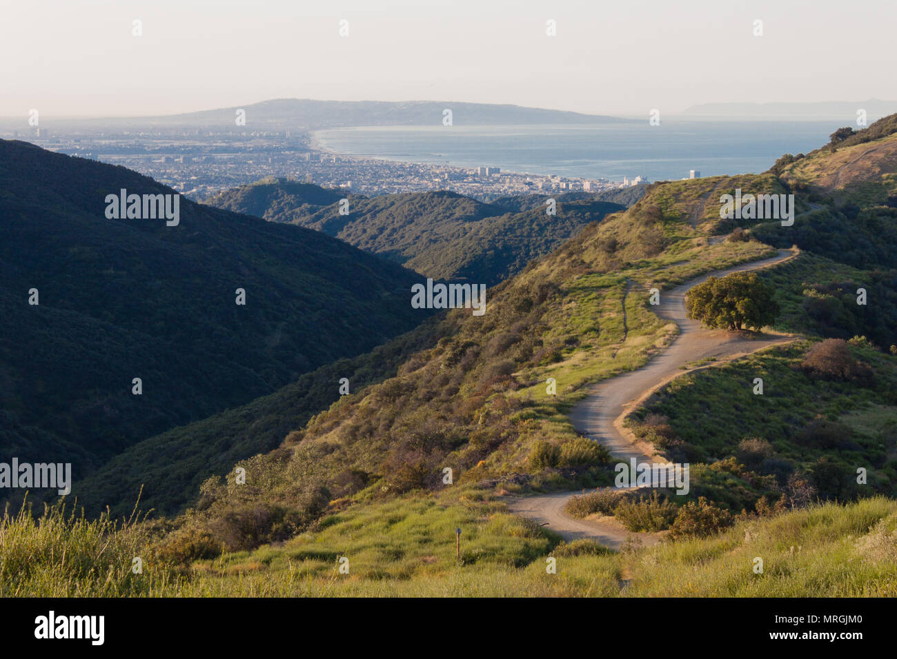 Una vista del paesaggio di West Los Angeles e la baia di Santa Monica dal Sullivan Fire strada in Santa Monica Mountains National Recreation Area. Foto Stock