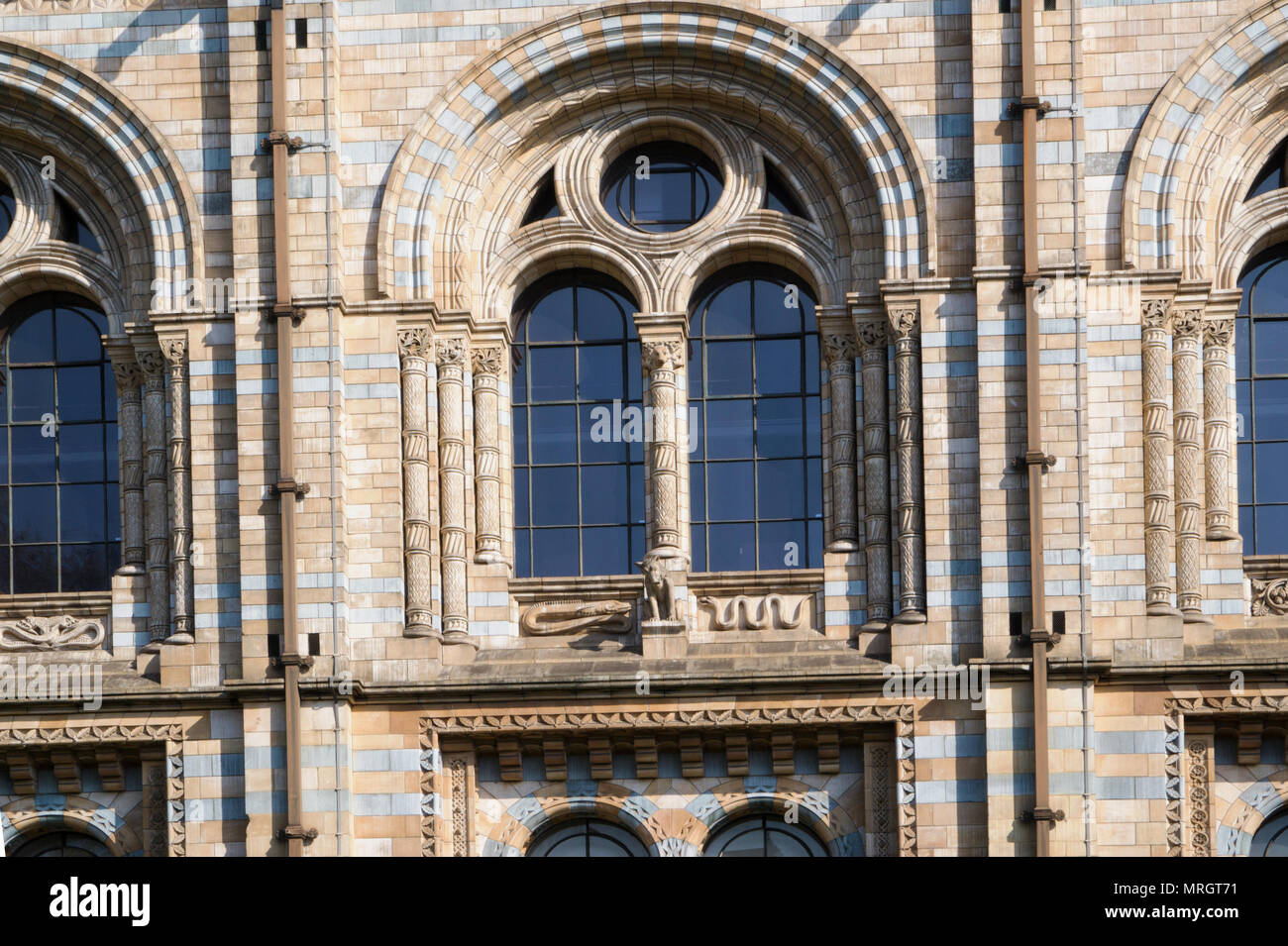 Museo di Storia Naturale di Londra Inghilterra Foto Stock