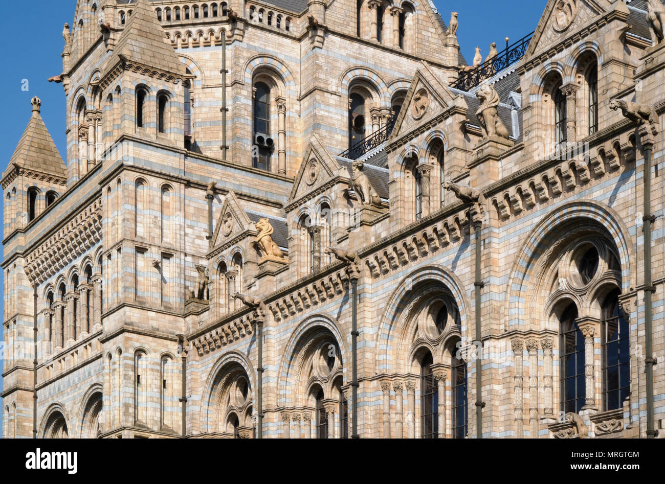Museo di Storia Naturale di Londra Inghilterra Foto Stock