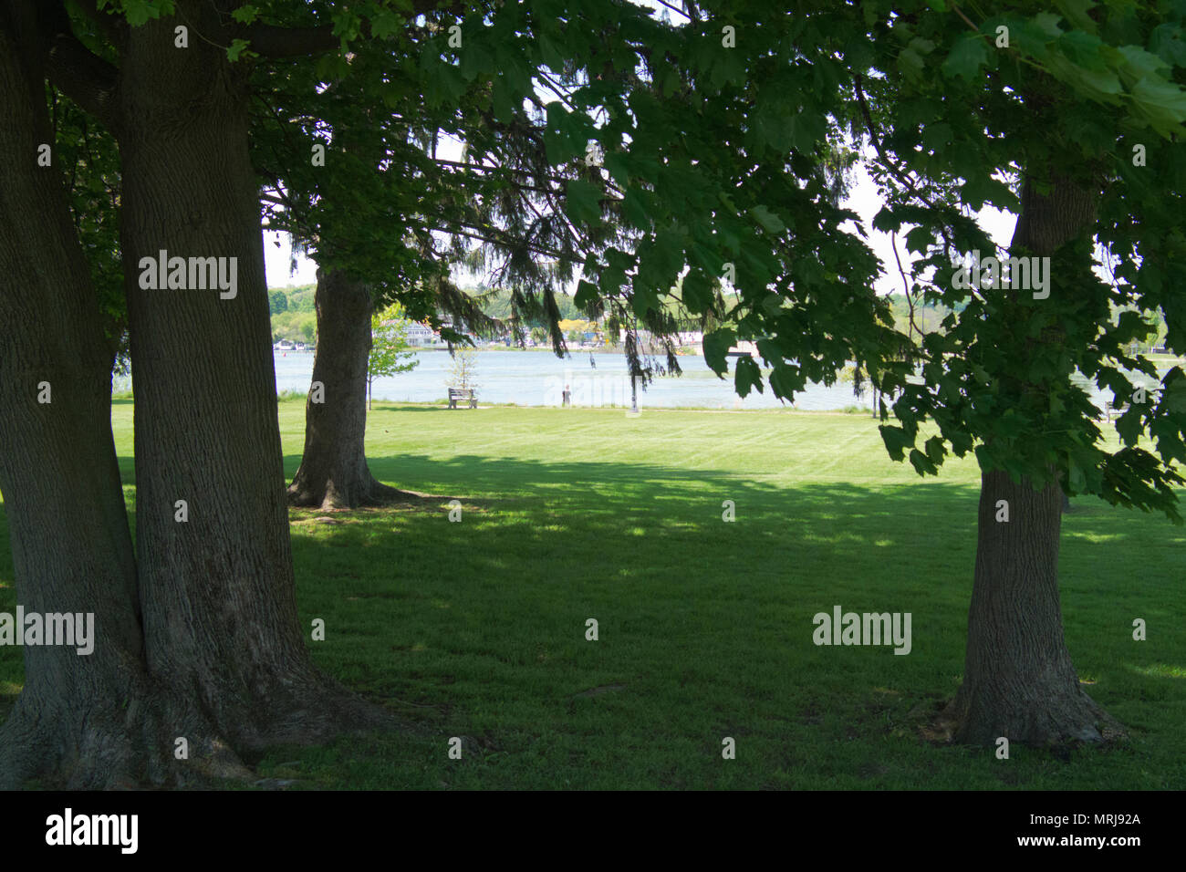 Goodrich Park con un pescatore sulla riva del lago bianco in Whitehall, Michigan. Foto Stock