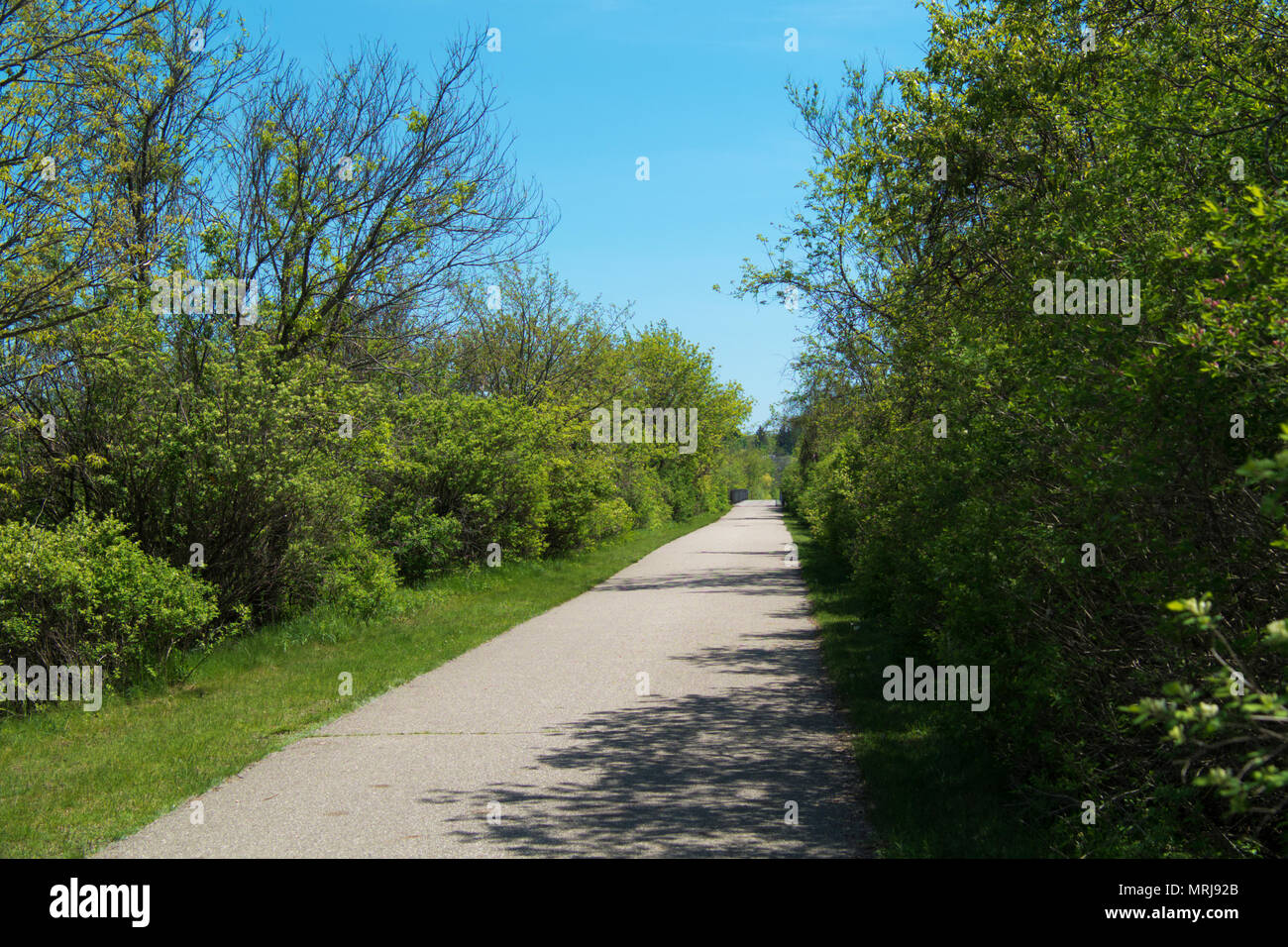 Hart-Montague pista ciclabile a Montague, Michigan9 Foto Stock