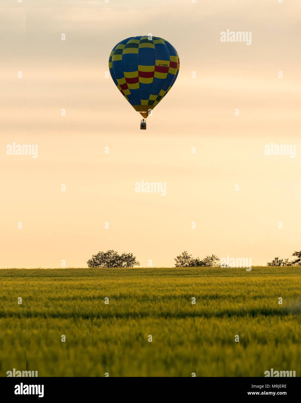 Un lone bassa battenti mongolfiera passando al di sopra di un giallo campo di coltivazione al tramonto. Foto Stock