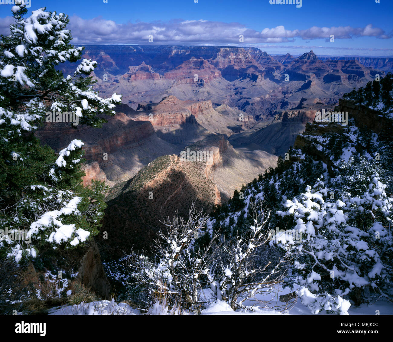 Bordo Sud del Grand Canyon Foto Stock