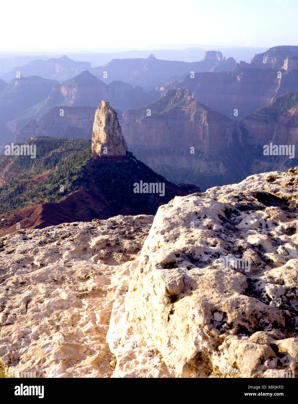 Mt Hayden sorge fuori la profondità del North Rim del Grand Canyon, Arizona Foto Stock