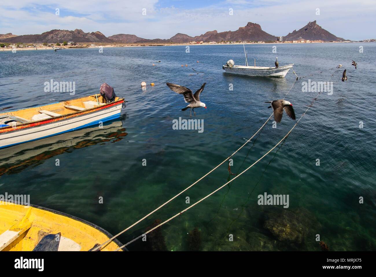 Relazione della vita e gli abitanti della comunità dei pescatori La Manga, una colonia che sembra così marginale come privilegiate per i benefici del mare, individuare Foto Stock