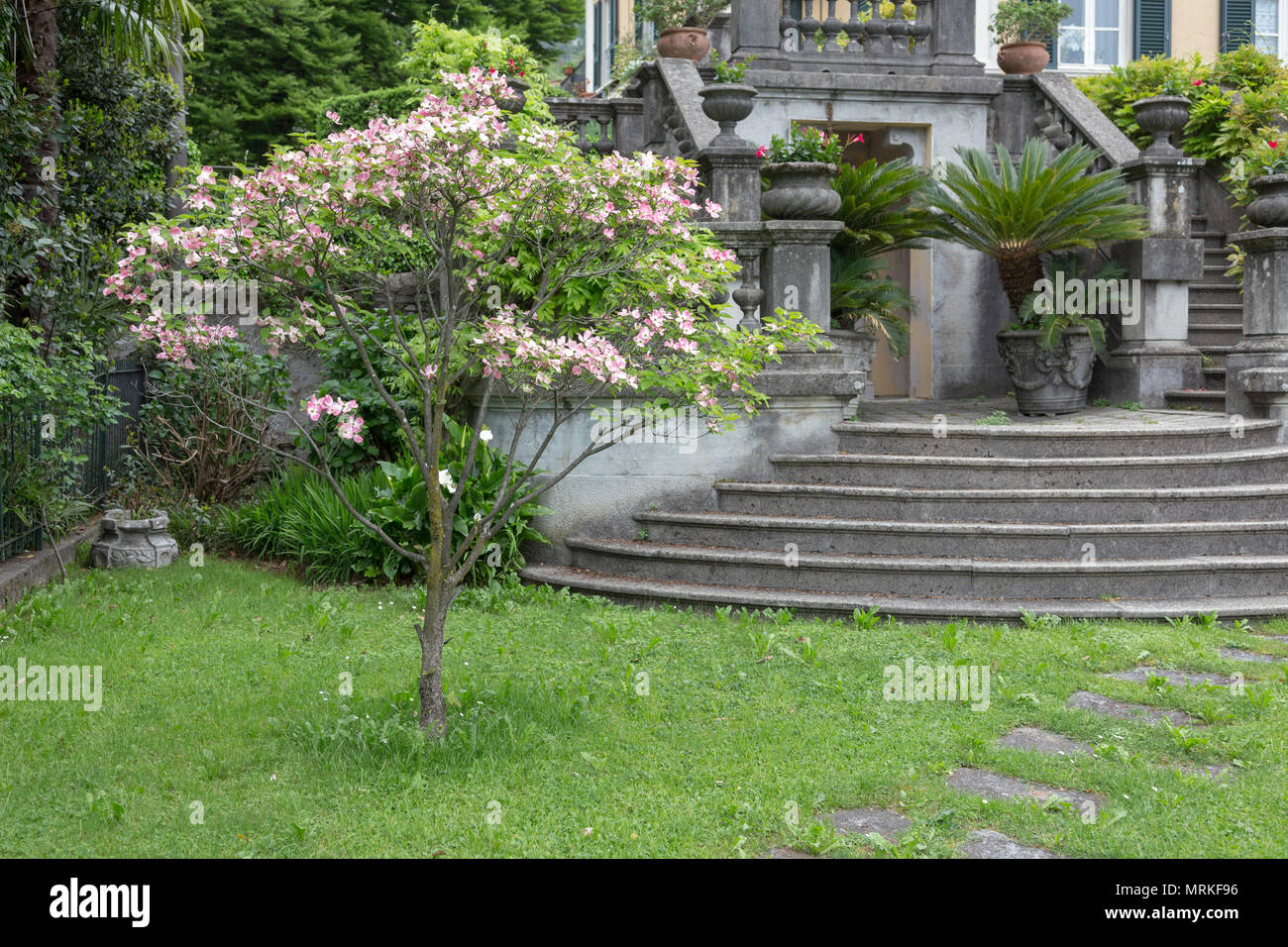 particolare di un giardino classico con un albero in fiore Foto Stock