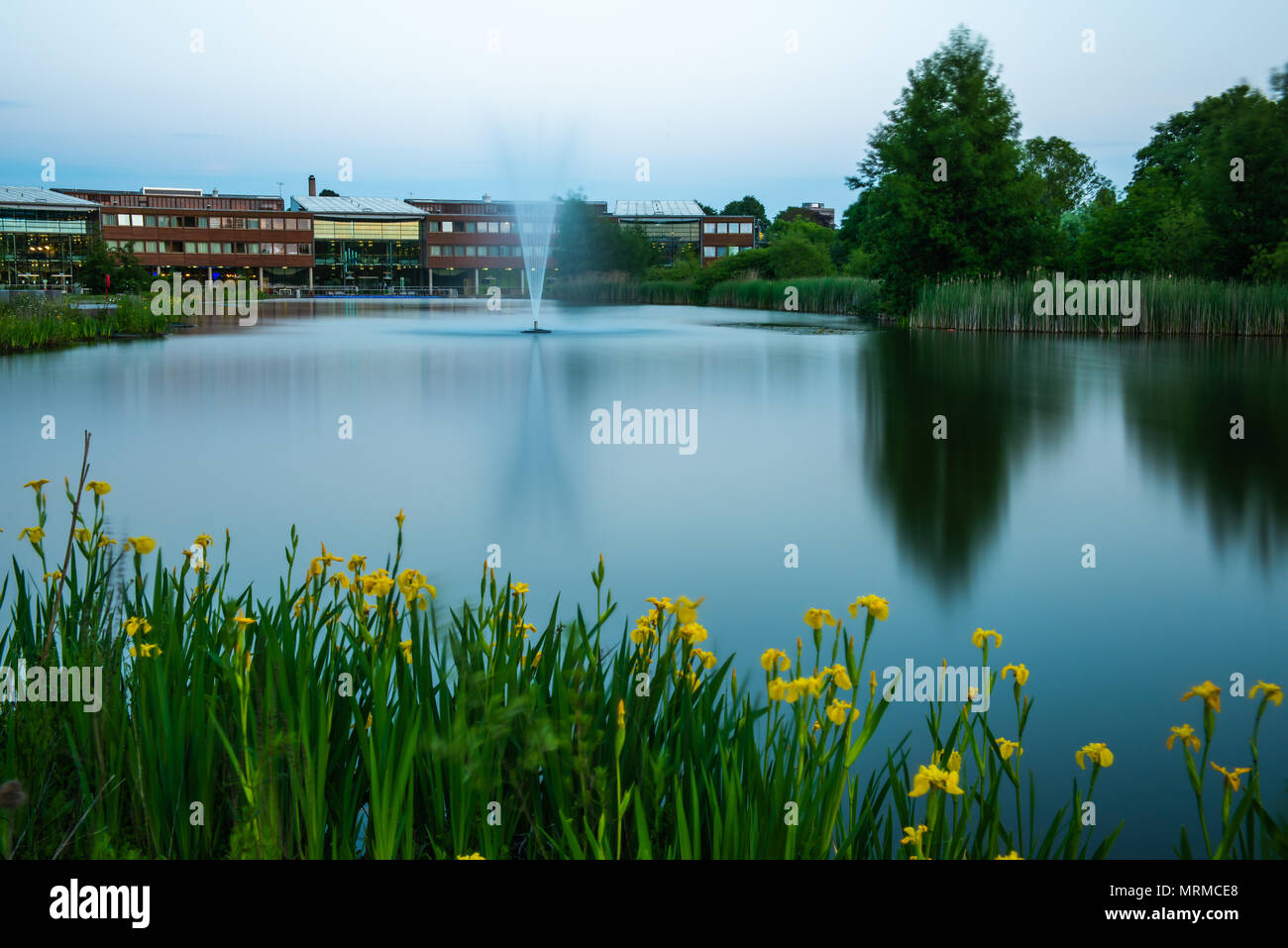 Università di Nottinhgam - Campus Jubille Foto Stock