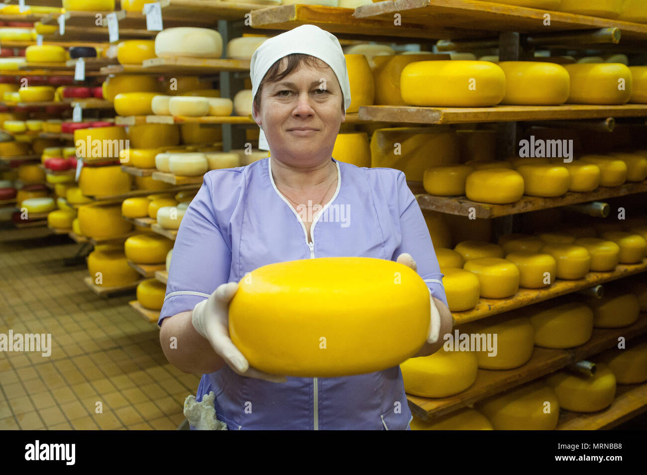 Vvillage Novonikolskoe, Michurin, Regione di Tambov, Russia. 27 Maggio, 2018. La maturazione del formaggio camera. Nella foto-una donna tenendo un formaggio Credit: Aleksei Sukhorukov/ZUMA filo/Alamy Live News Foto Stock