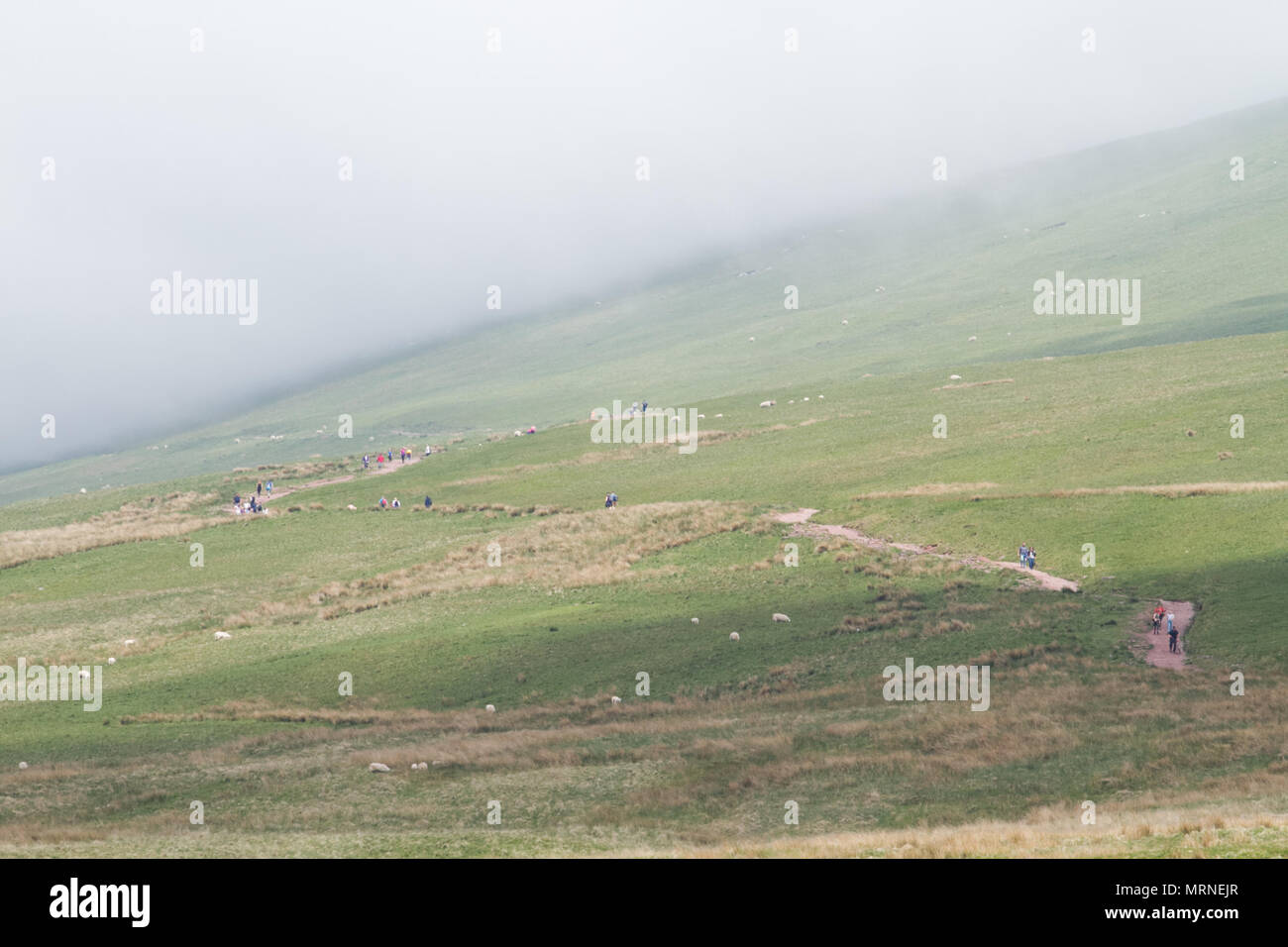 Piani di bracci, Brecon Beacons, South Wales, Regno Unito. 27 maggio 2018. Regno Unito: meteo persone godetevi la passeggiata a Pen-Y-ventola con una pesante velatura quasi alla sommità e un umido pomeriggio di oggi, con ulteriori perturbazioni atmosferiche avvicina. Credito: Andrew Bartlett/Alamy Live News Foto Stock