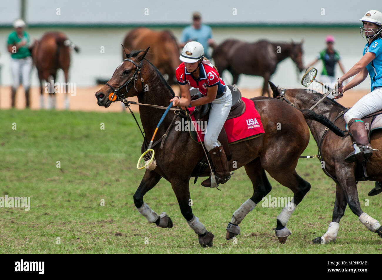 Pinehurst, North Carolina, Stati Uniti d'America. 27 Maggio, 2018. 27 maggio 2018 - Pinehurst, N.C., STATI UNITI D'AMERICA - Camicia Kat, da Whispering Pines, North Carolina, diventa basso per la sfera durante un match di esibizione tra gli Stati Uniti d'America Polocrosse World Team Cup e il Bishopstowe, Sud Africa Polocrosse team, al Pinehurst via cavo, Pinehurst, N.C. Il team americano sarà in competizione nel 2019 Polocrosse World Cup in Queensland, Australia, aprile 22-28. Credito: Timothy L. Hale/ZUMA filo/Alamy Live News Foto Stock