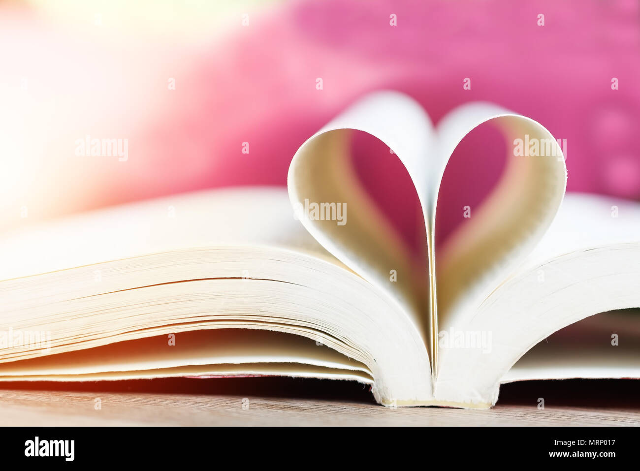 Prenota in forma di cuore, la sapienza e il concetto di istruzione, la giornata mondiale del libro Foto Stock