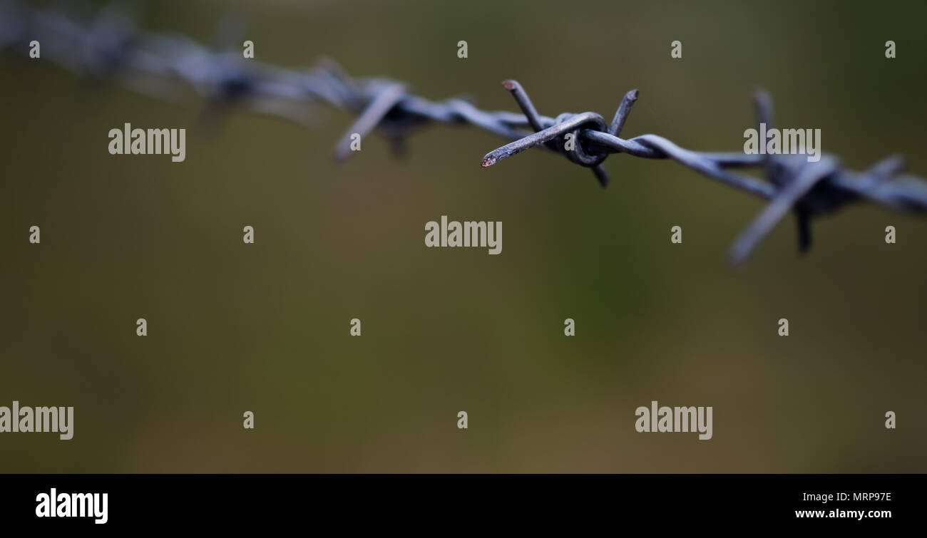 Linea di filo spinato con poca polvere e sudore con sfondo sfocato, il fuoco selettivo. Foto Stock