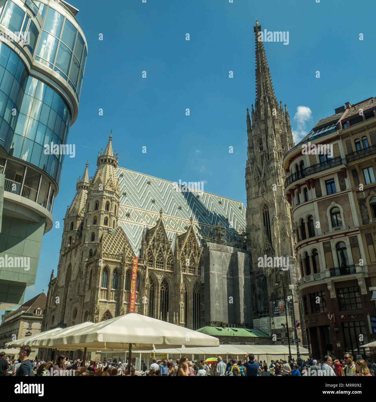 duomo di santo stefano vienna