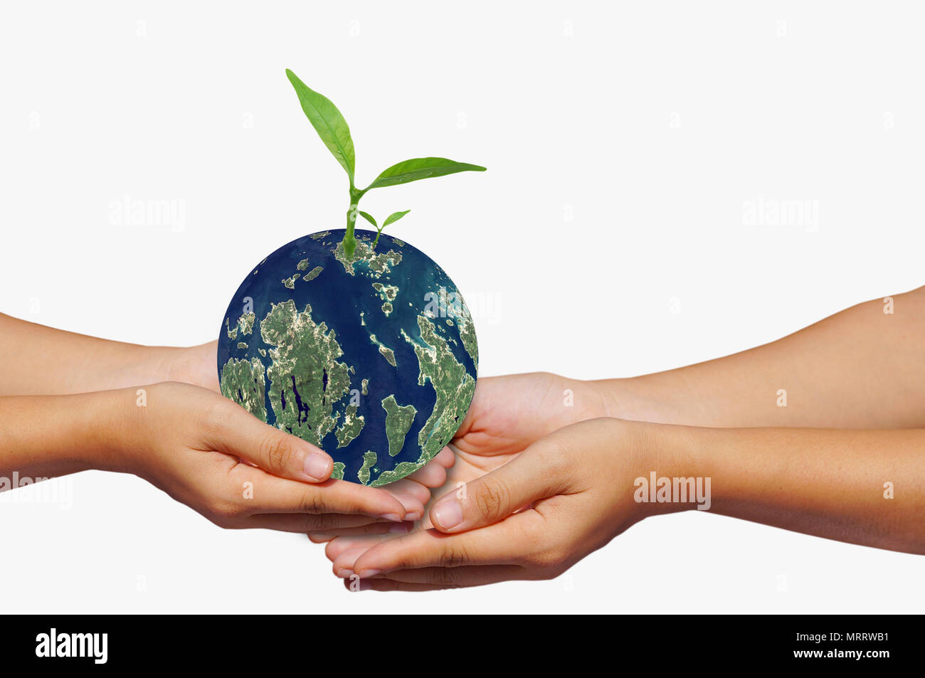 Tenere in mano la massa e piccolo albero, concetto nel salvare il mondo, Energia e conservazione dell'ambiente, elementi di questa immagine funeshed dalla NASA Foto Stock