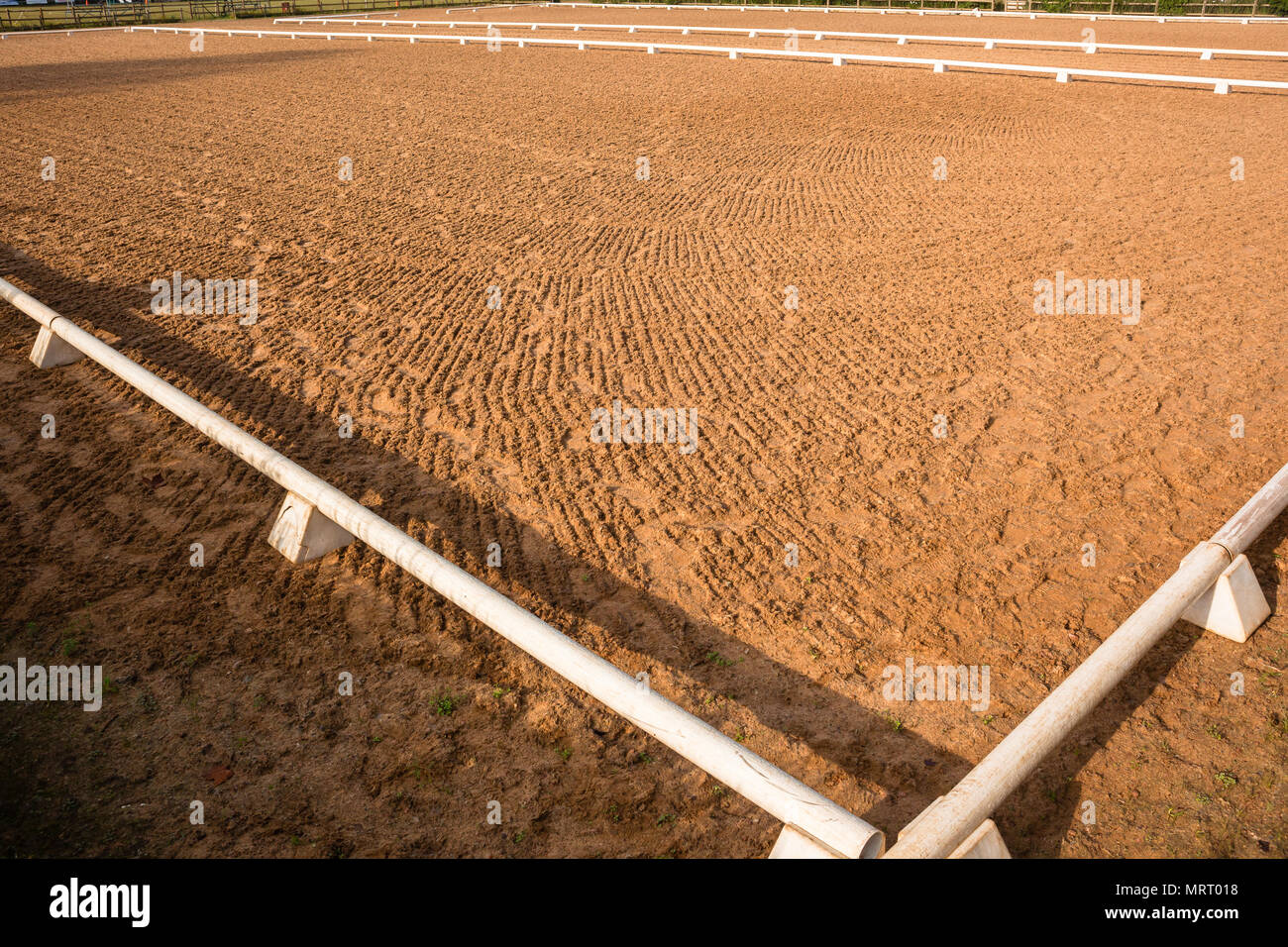 All'aperto equestre cavallo arena's closeup classificato sabbia bianca dentro i confini di ringhiera. Foto Stock