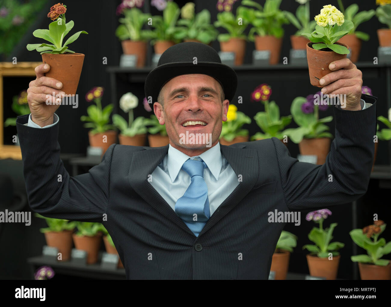 RHS Chelsea, Londra, Regno Unito. 21 Maggio, 2018. Simon Lockyer presenta la sua collezione Primula nel grande padiglione presso Chelsea Foto Stock