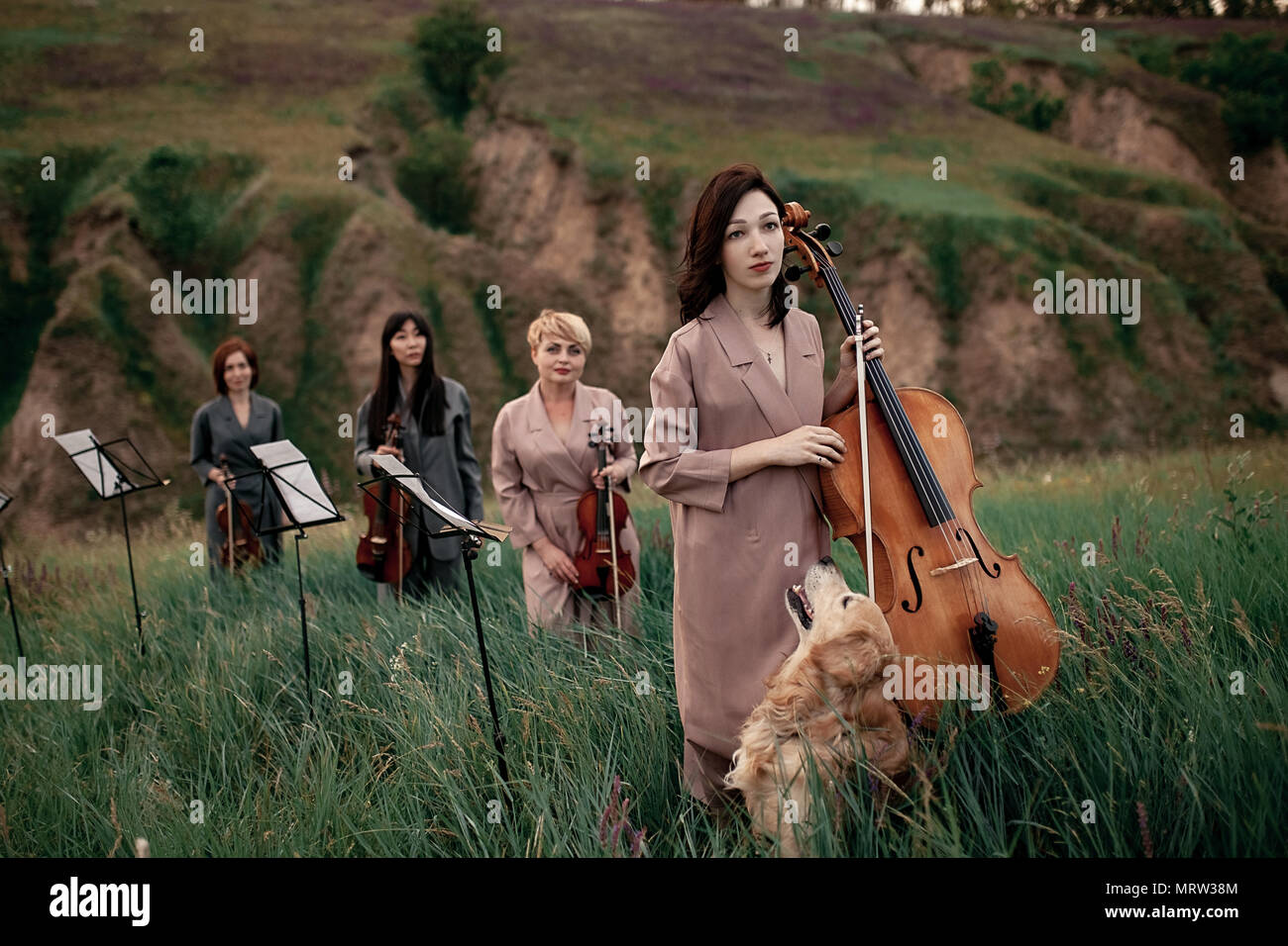 Femmina quartetto musicale con tre violini e violoncello si prepara a  giocare a prato fiorito contro sfondo di paesaggio pittoresco accanto al  cane Foto stock - Alamy