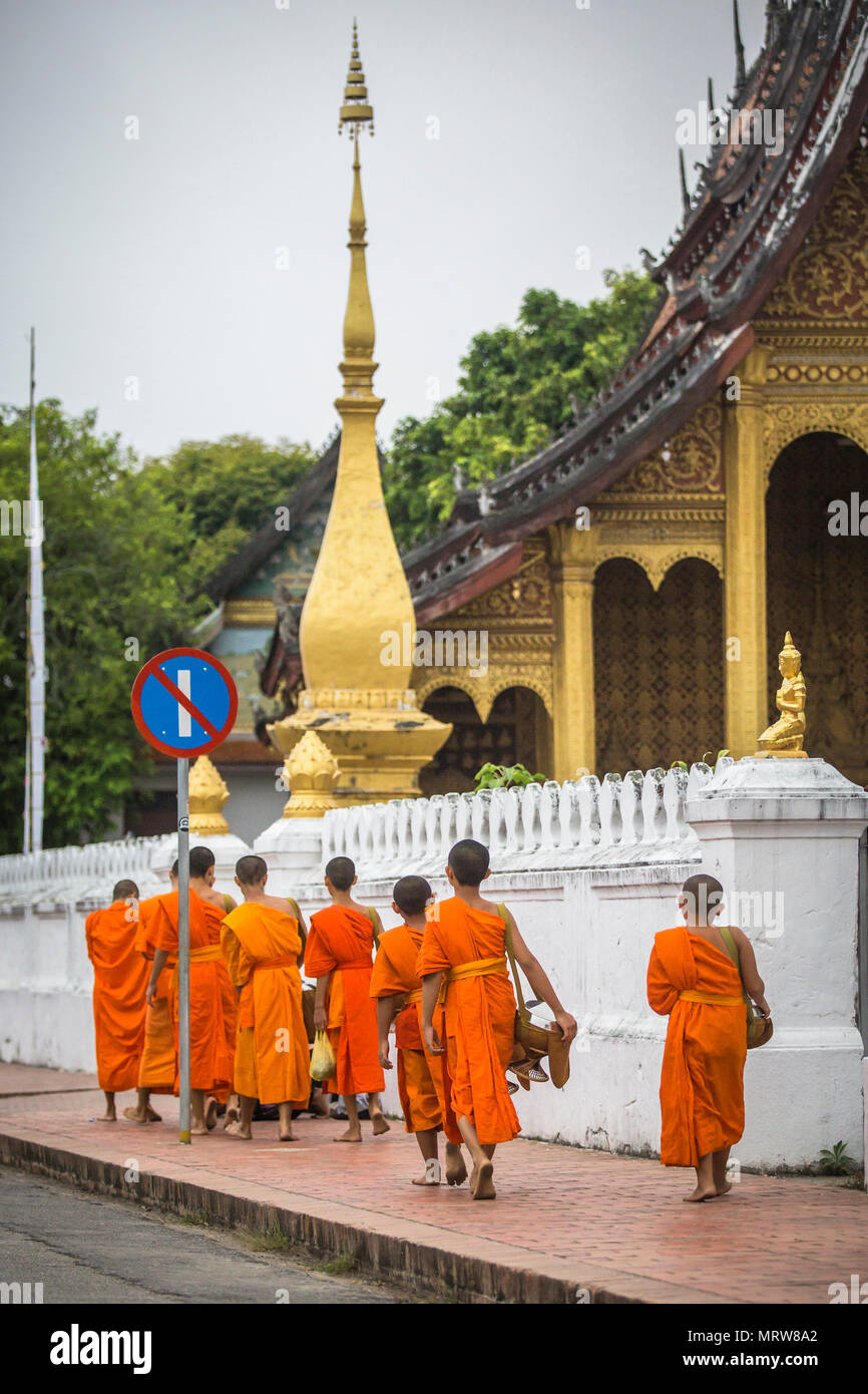 I monaci buddisti per le strade di Luang Prabang, Laos. Foto Stock