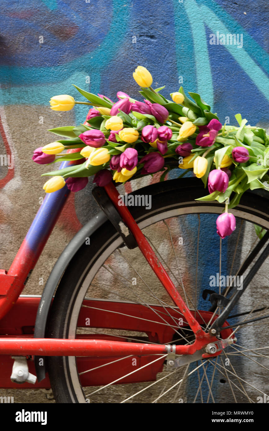 Red bicicletta con i tulipani sulla schiena appoggiata sulla parete in un  vicolo di Amsterdam Foto stock - Alamy