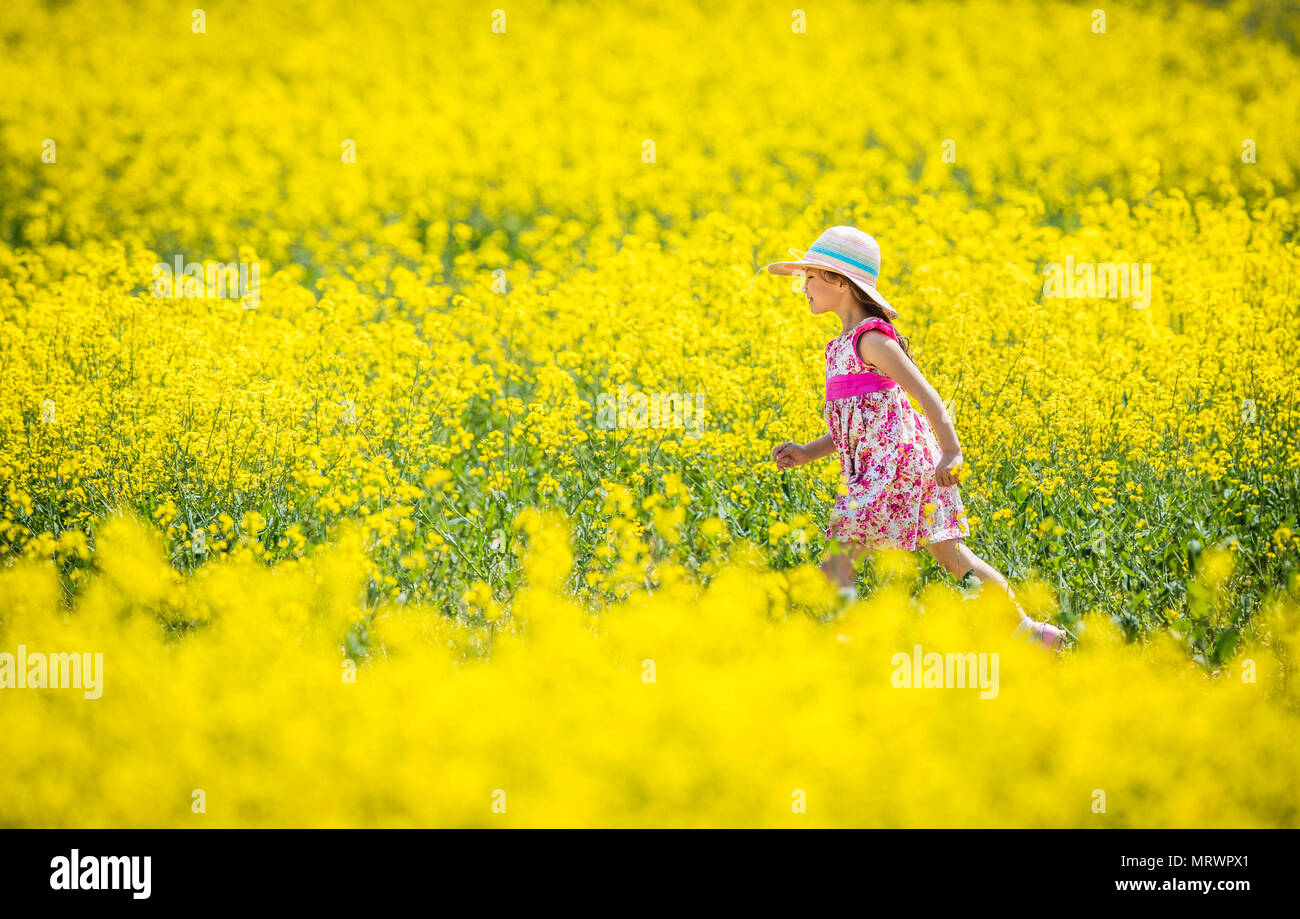 Maja-Isobel Lawson riproduce in un campo di fiori gialli vicino a Bretton nello Yorkshire come un ondata di calore colpisce parti del Regno Unito. Foto Stock