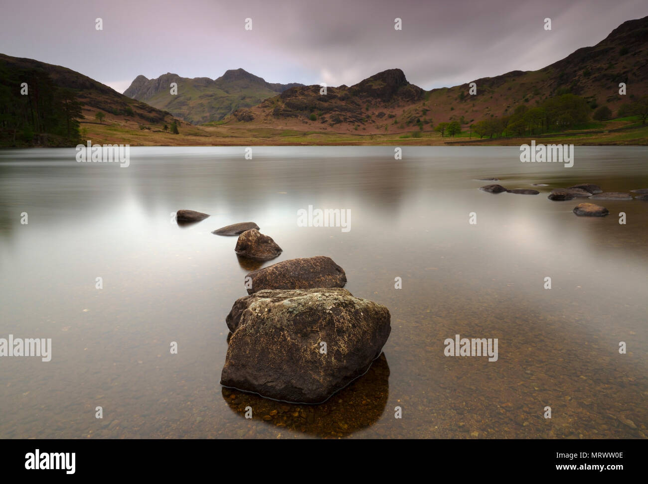 Vista su tutta Blea Tarn affacciato su The Langdale Pikes Foto Stock
