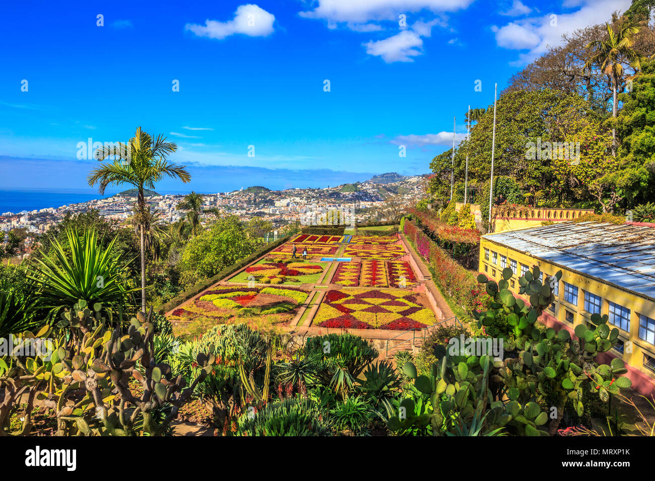 Bellissimo panorama del famoso giardino botanico e tropicale a Funchal, isola di Madeira, Portogallo Foto Stock