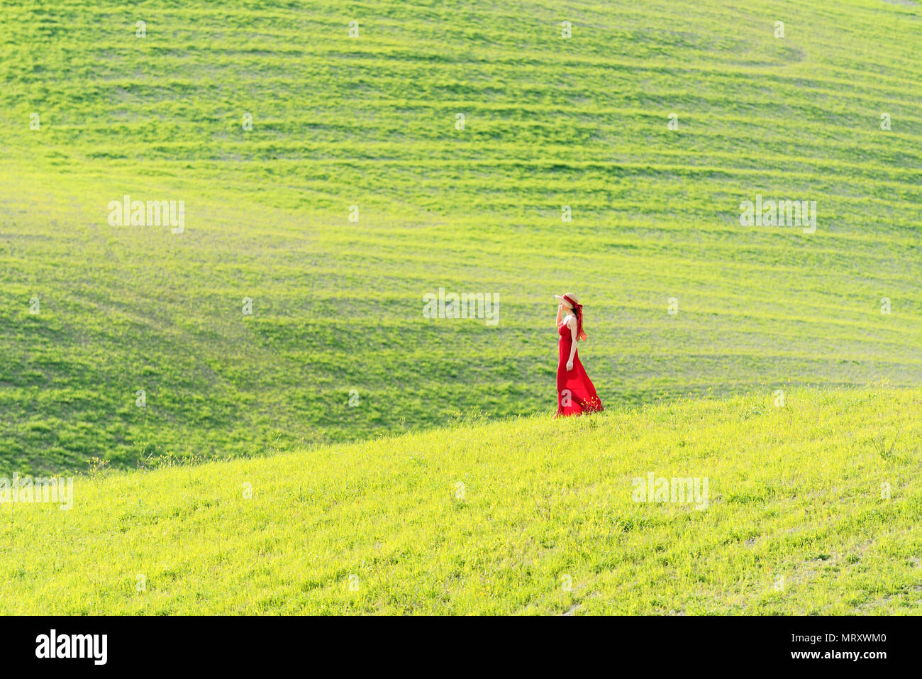 San Quirico d'Orcia, Val d'Orcia, Siena, Toscana, Italia. Una giovane donna in abito rosso è percorribile a piedi in un campo di grano Foto Stock