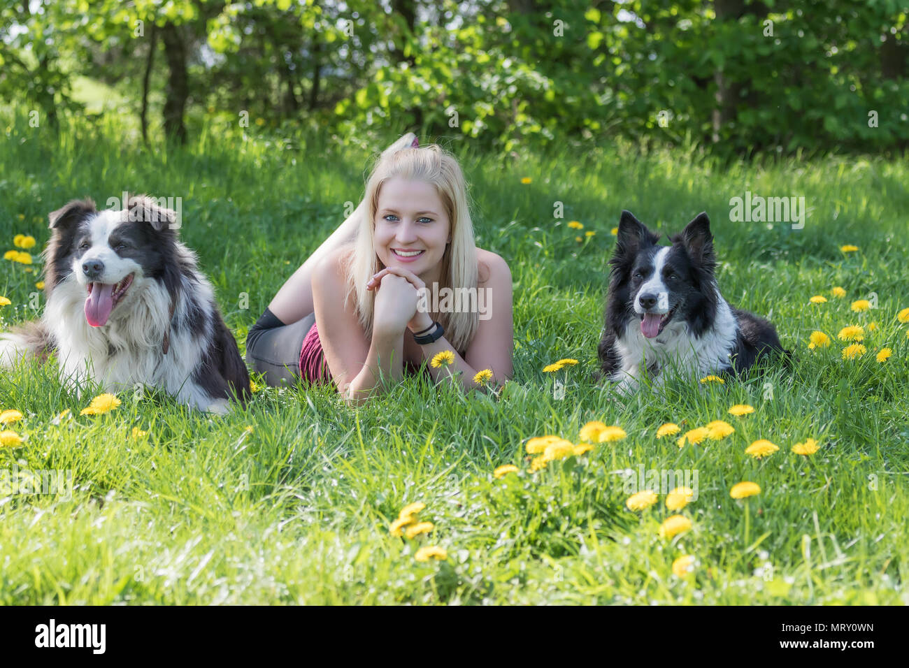 Ridendo giovane donna bionda che è compreso tra due Border Collies cani all'esterno. La donna e i cani sono guardando la telecamera. Foto Stock