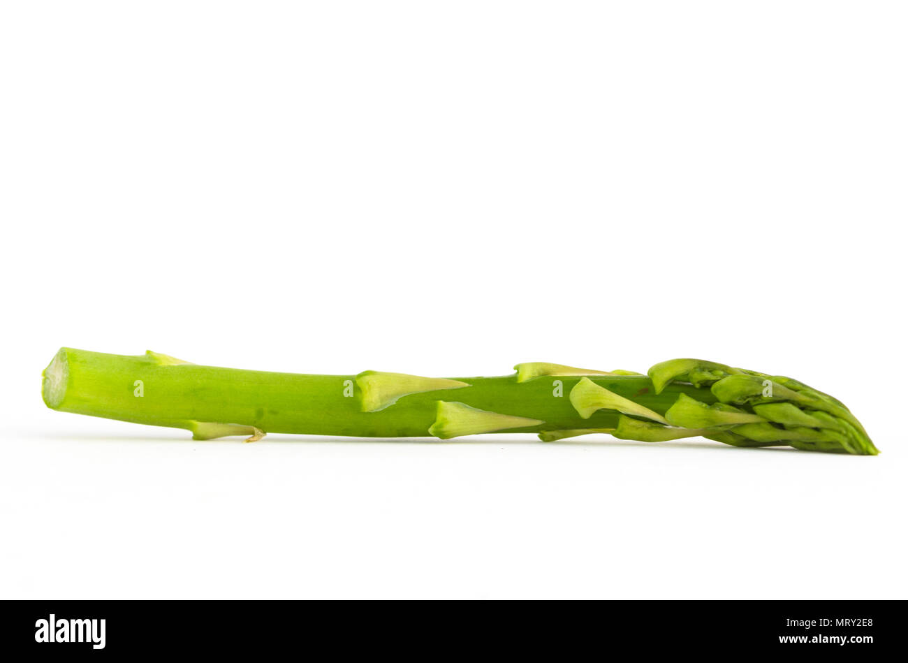 Single asparagi verdi isolati su sfondo bianco Foto Stock