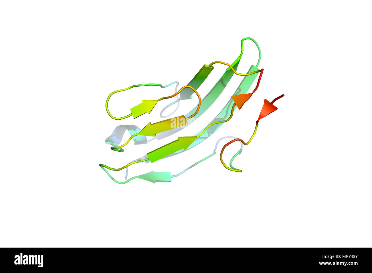 La struttura cristallina del marcatore tumorale di proteina. Il modello 3D della macromolecola biologica. Foto Stock