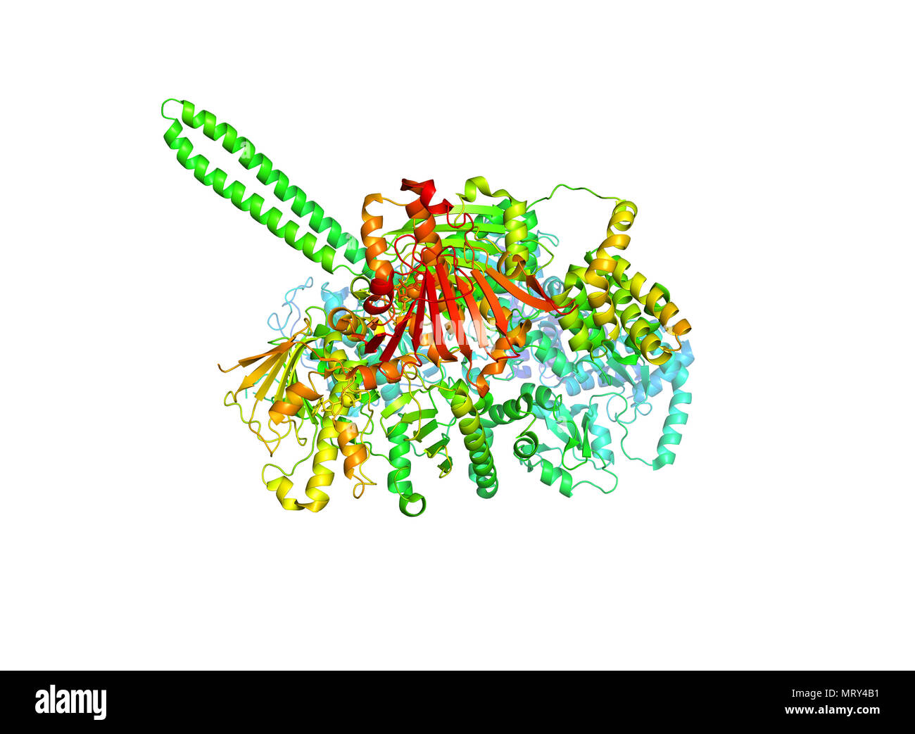 La struttura cristallina del marcatore tumorale di proteina. Il modello 3D della macromolecola biologica. Foto Stock