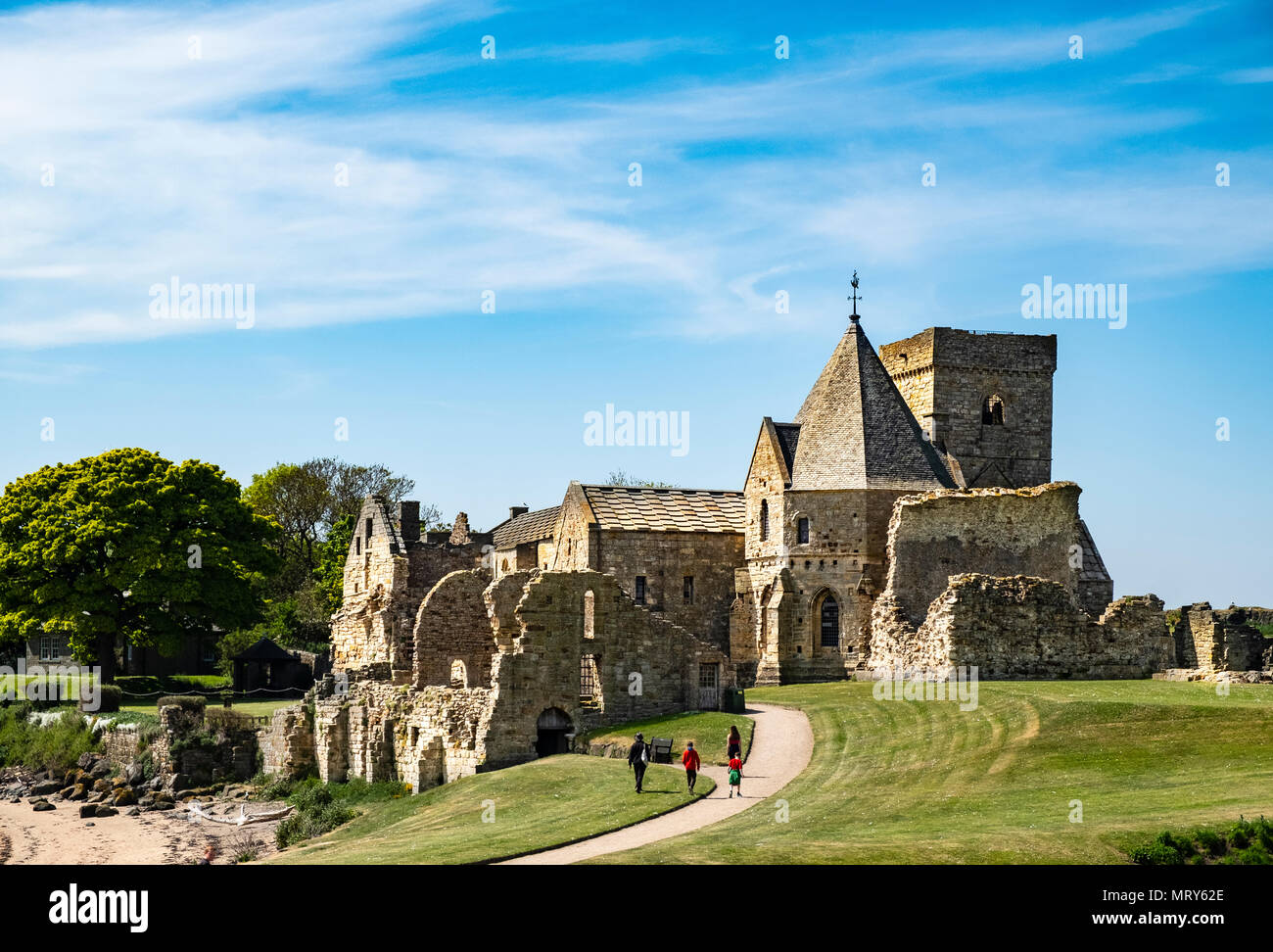 Vista di Inchcolm Abbey a Inchcolm isola in sul Firth of Forth river in Scozia, UK, Regno Unito Foto Stock