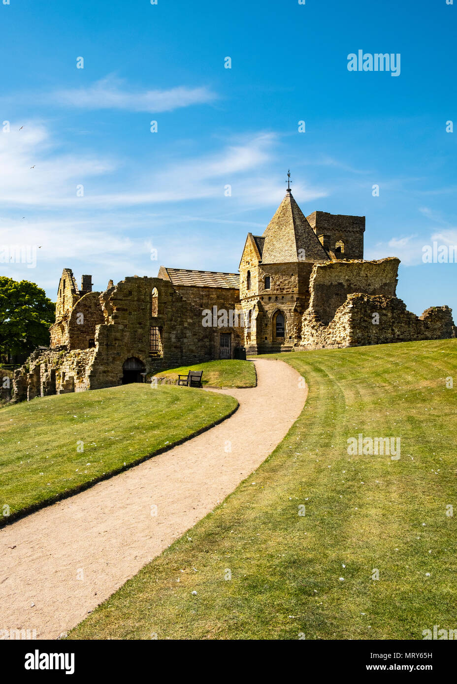 Vista di Inchcolm Abbey a Inchcolm isola in sul Firth of Forth river in Scozia, UK, Regno Unito Foto Stock