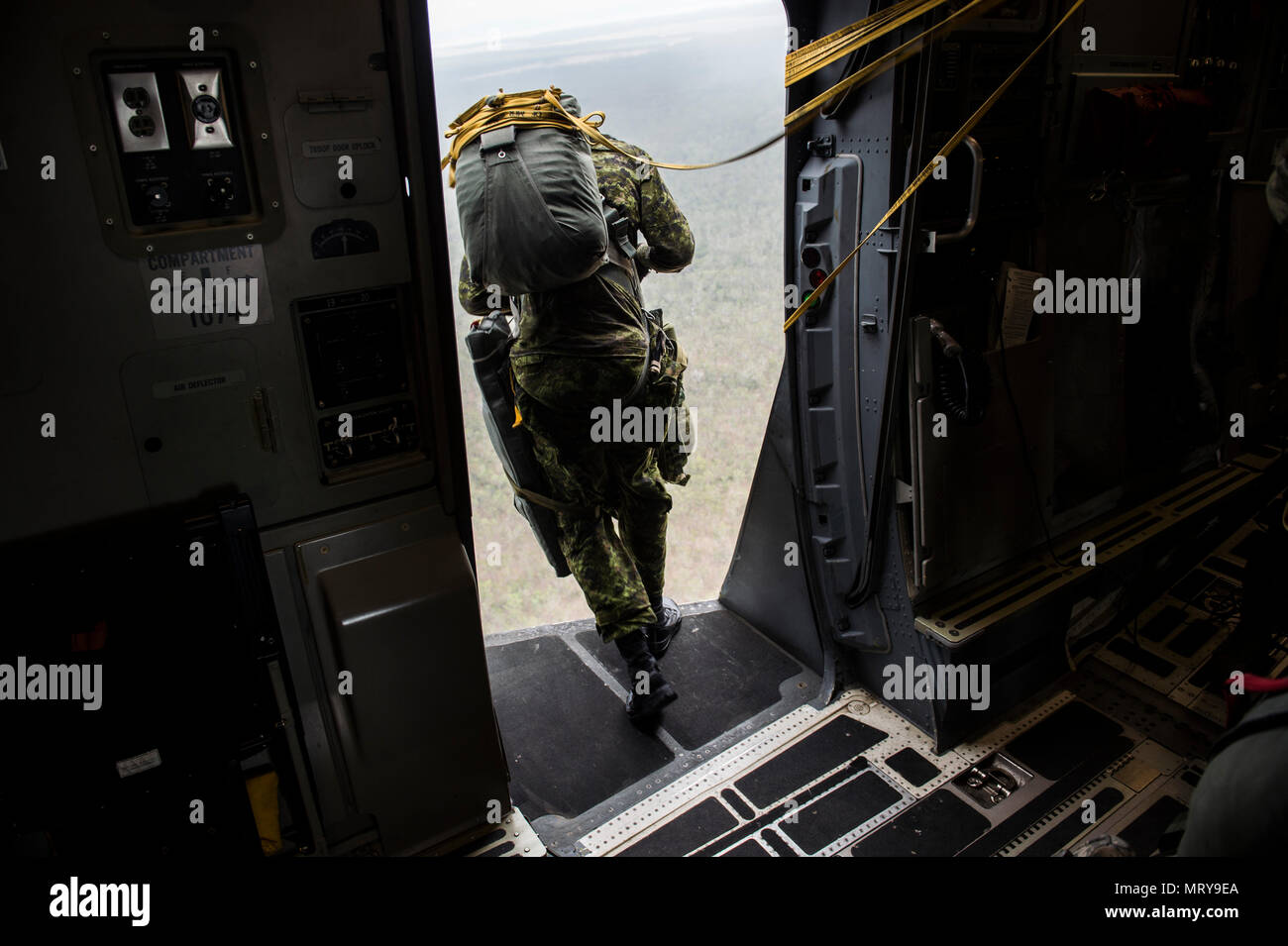 Un paracadutista canadese da Princess Patricia la luce di fanteria canadese salta fuori della truppa di aprire la porta su un U.S. Air Force C-17 dalla base comune, Charleston S.C., luglio 12, 2017 a sostegno dell'esercizio talismano Saber 2017. Lo scopo di TS17 è migliorare U.S.-Australian Combat Readiness, aumentare l'interoperabilità, combinato a massimizzare le opportunità di formazione e di condotta di preposizionamento marittimo e le operazioni di logistica nel Pacifico. TS17 dimostra anche l'impegno degli Stati Uniti per il suo alleato fondamentale e globale del quadro di sicurezza nell'Indo Asian Pacific regione. (U.S. Air Force Foto di Tech. Sgt. G Foto Stock