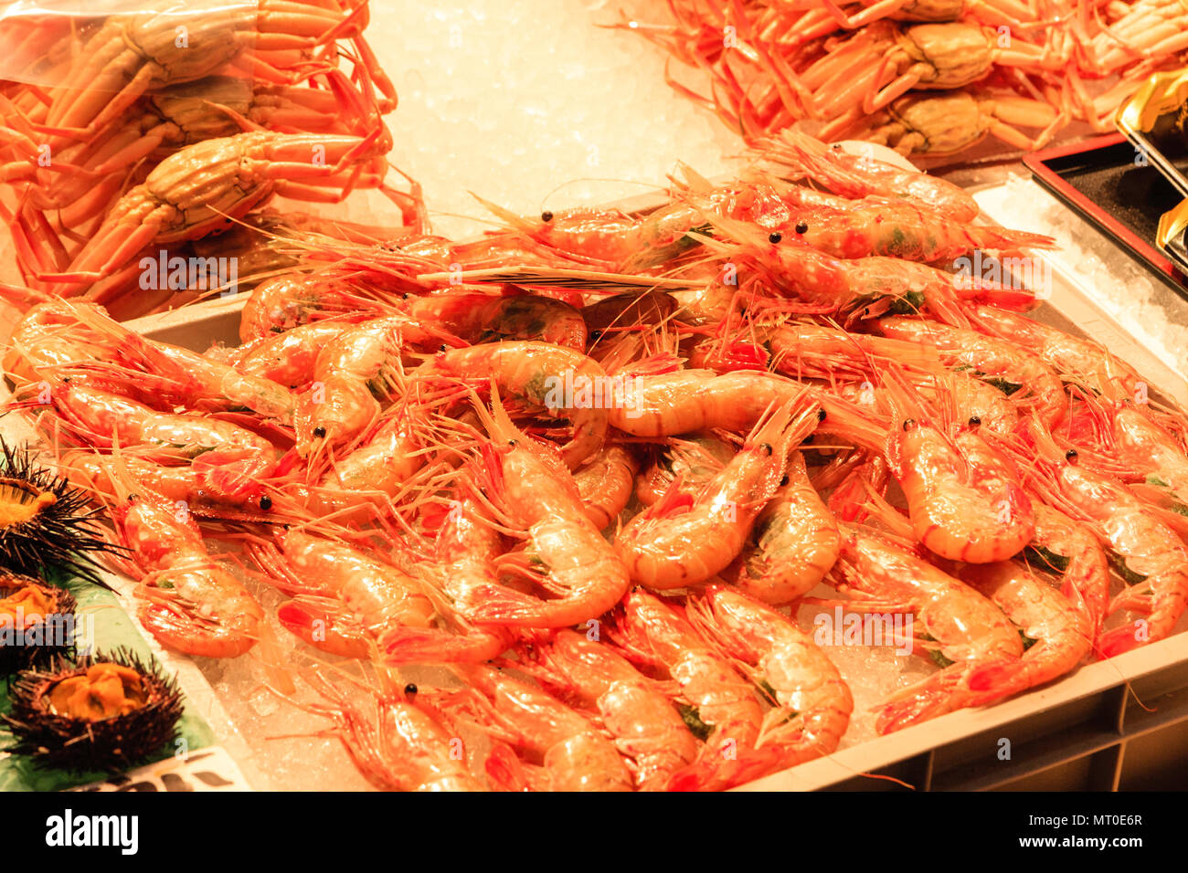 Piscina Omicho Ichiba, Mercato Omicho, est metà del XVIII secolo, fresco più grande mercato alimentare a Kanazawa, Giappone. Gamberi su tabelle al pesce fresco store. Foto Stock