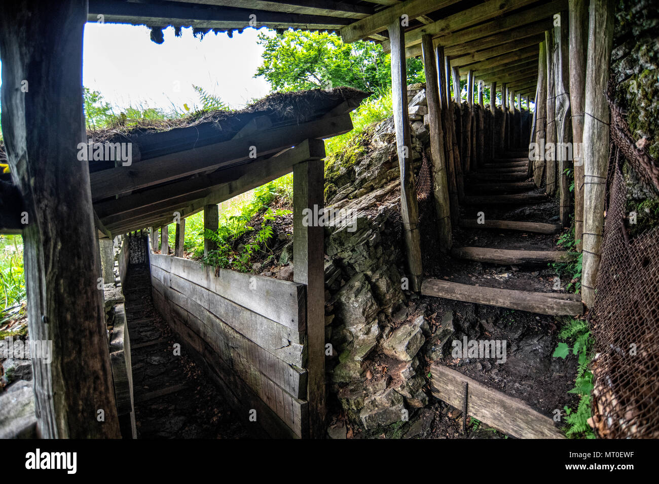 Prima Guerra Mondiale esercito italiano le fortificazioni e le trincee tra Na Gradu e Tinški vrh sul Kolovrat sulla cresta di confine italo-sloveno. Foto Stock