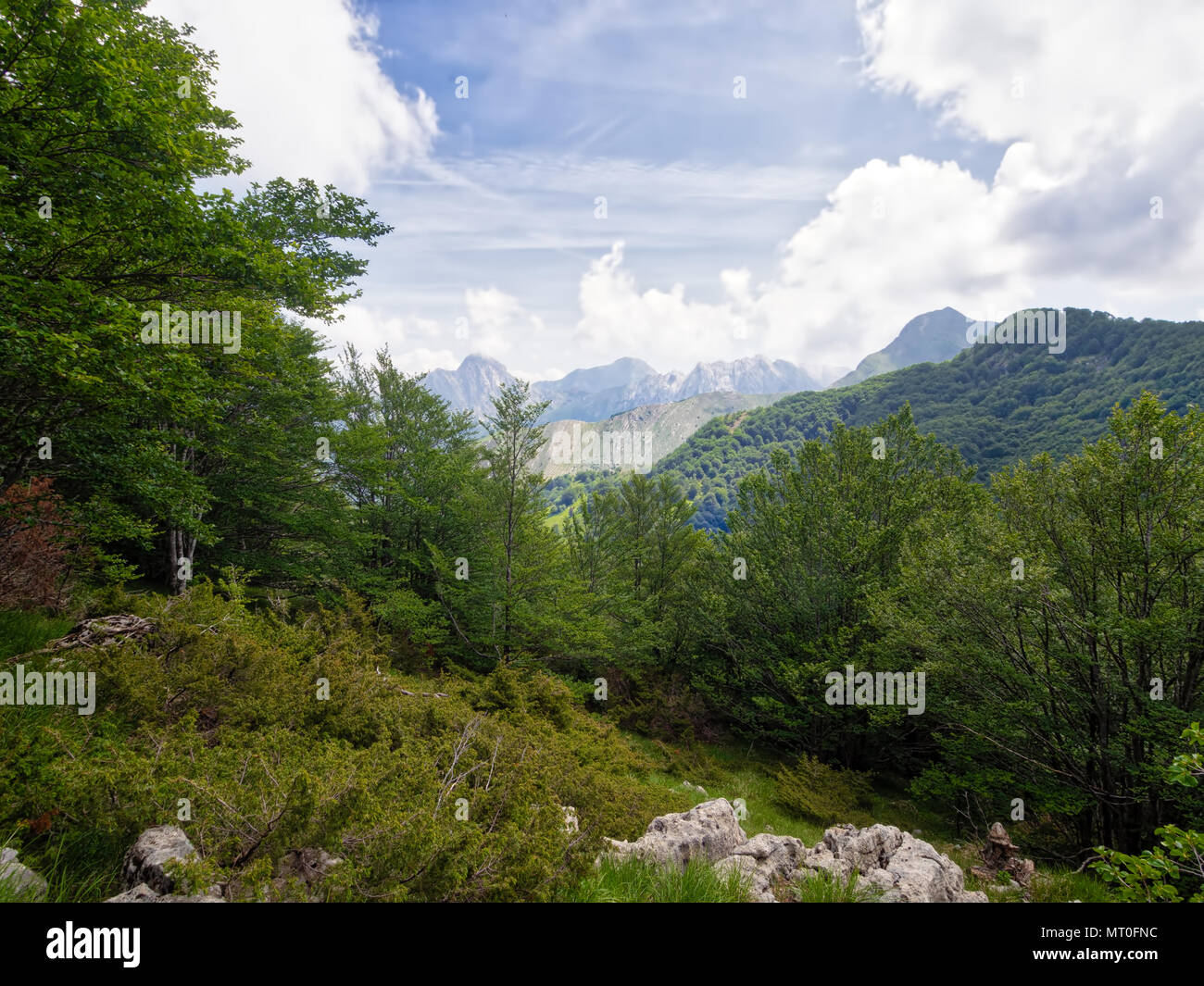 Una vista delle Alpi Apuane senza una cava, natura incontaminata, Italia. Foto Stock