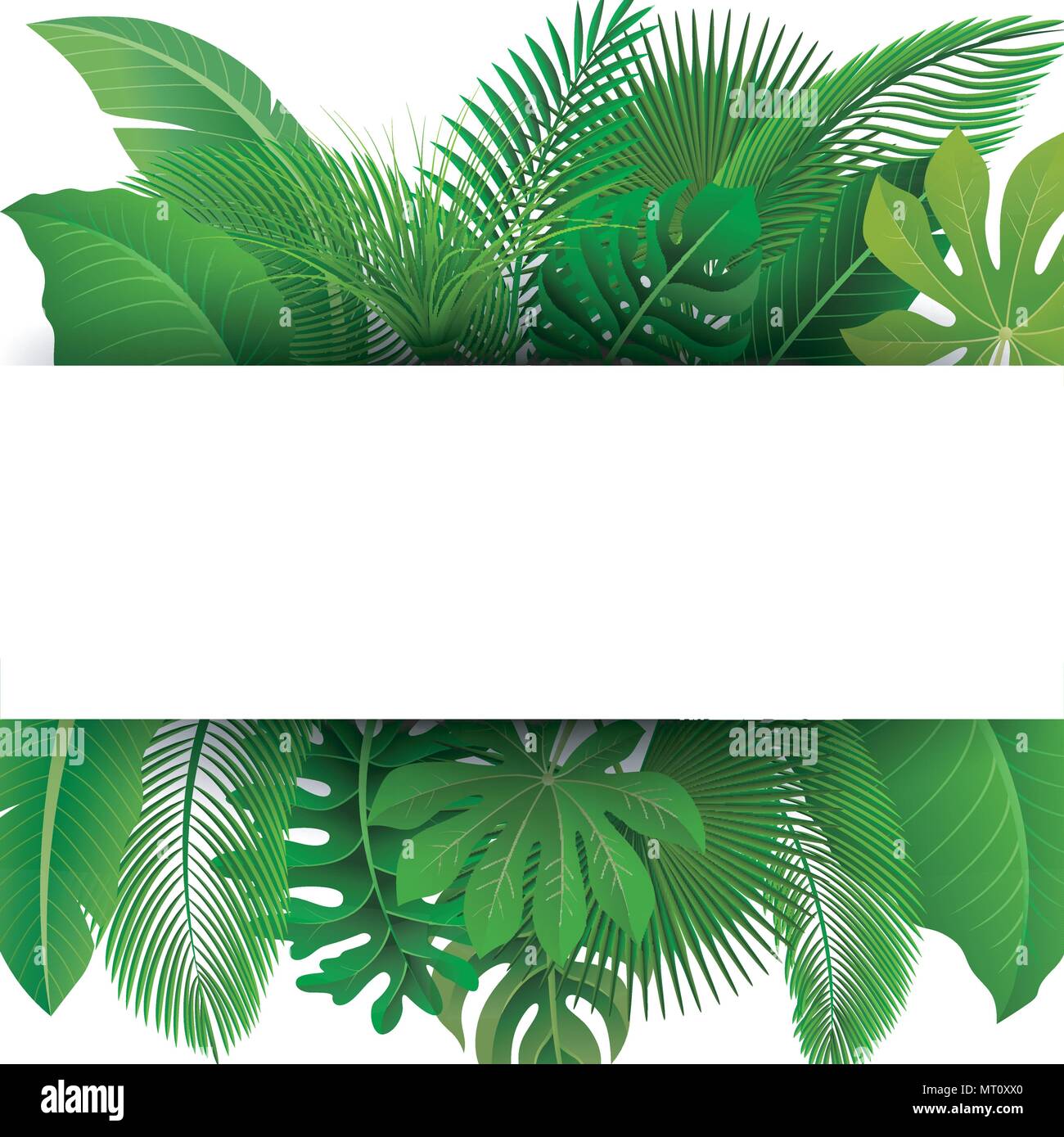 Segno con il testo spazio di foglie tropicali. Adatto per il concetto di natura, vacanza e vacanze estive. Illustrazione Vettoriale Illustrazione Vettoriale