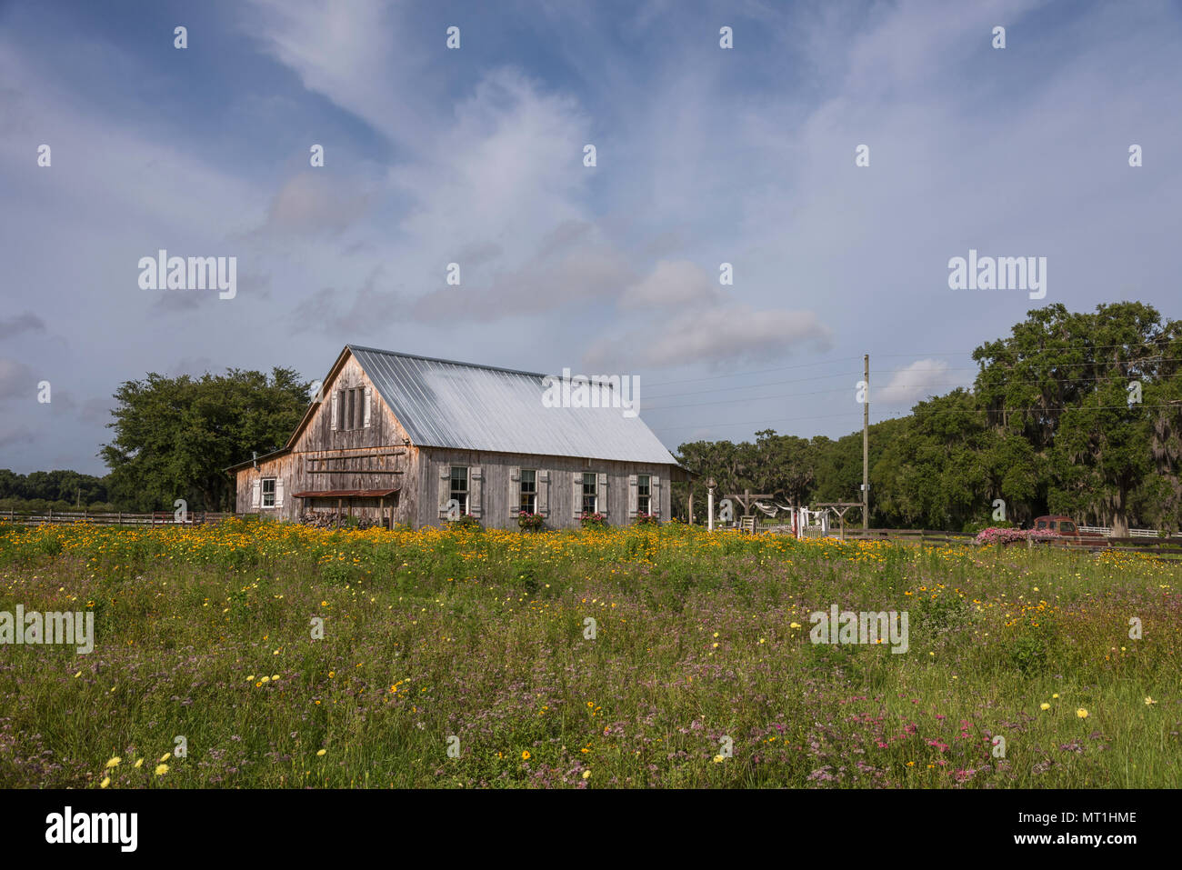 Vecchia Fattoria Florida USA Foto Stock