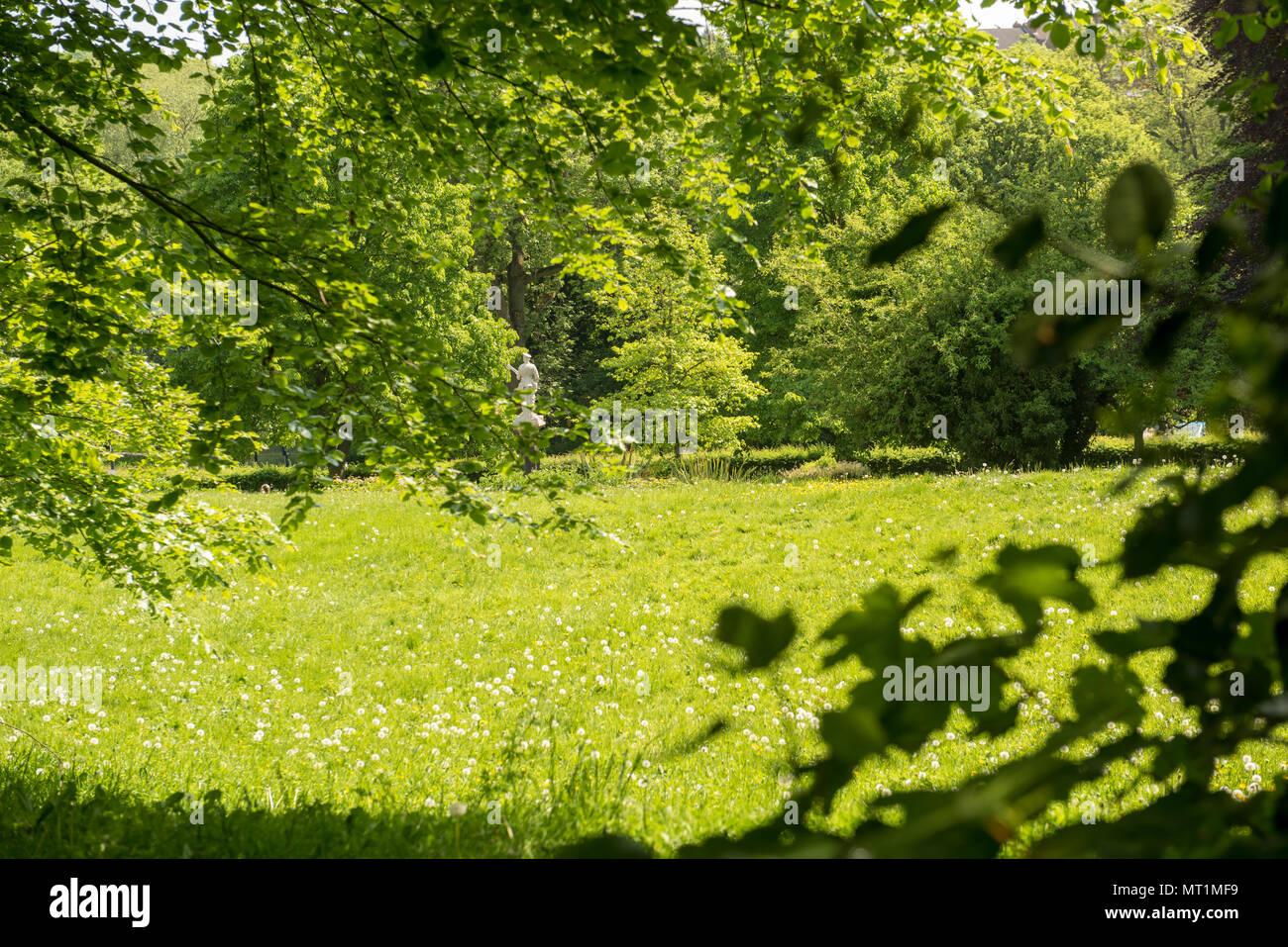Un tranquillo prato estivo circondato da vibranti alberi verdi in foglie intere, con luce solare appannata che crea un tranquillo e idilliaco paesaggio naturale nel Regno Unito Foto Stock