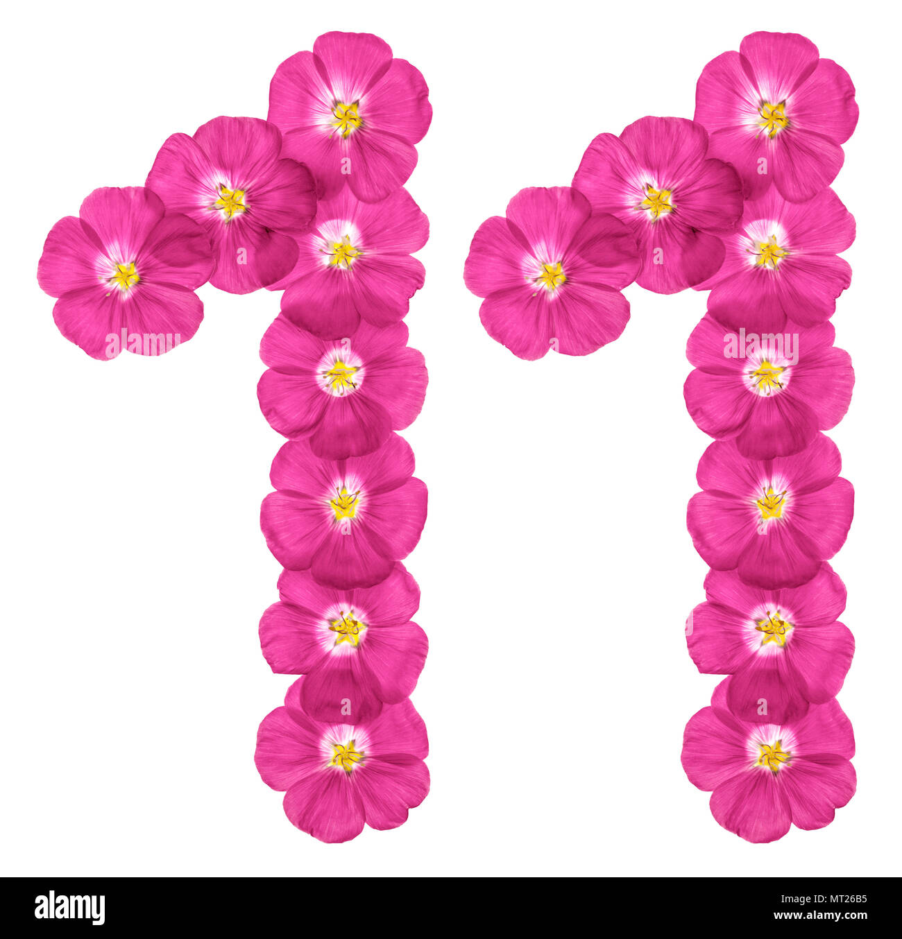 Numero arabo 11, undici, da fiori di colore rosa del lino, isolato su sfondo bianco Foto Stock