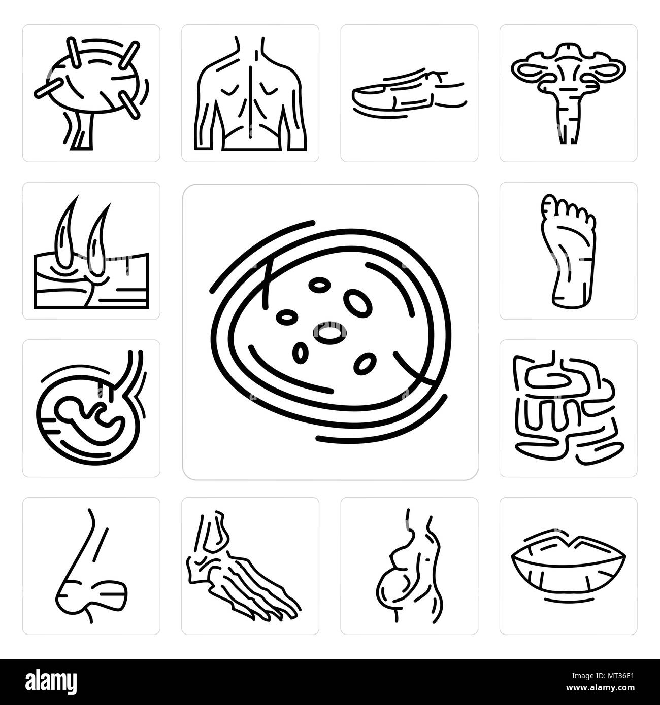 Set di 13 semplici icone modificabili quali basofilo, labbra umane, una donna in stato di gravidanza, le ossa del piede, naso vista laterale, piccolo intestino, Feto, piede, gli uomini del ginocchio possono b Illustrazione Vettoriale